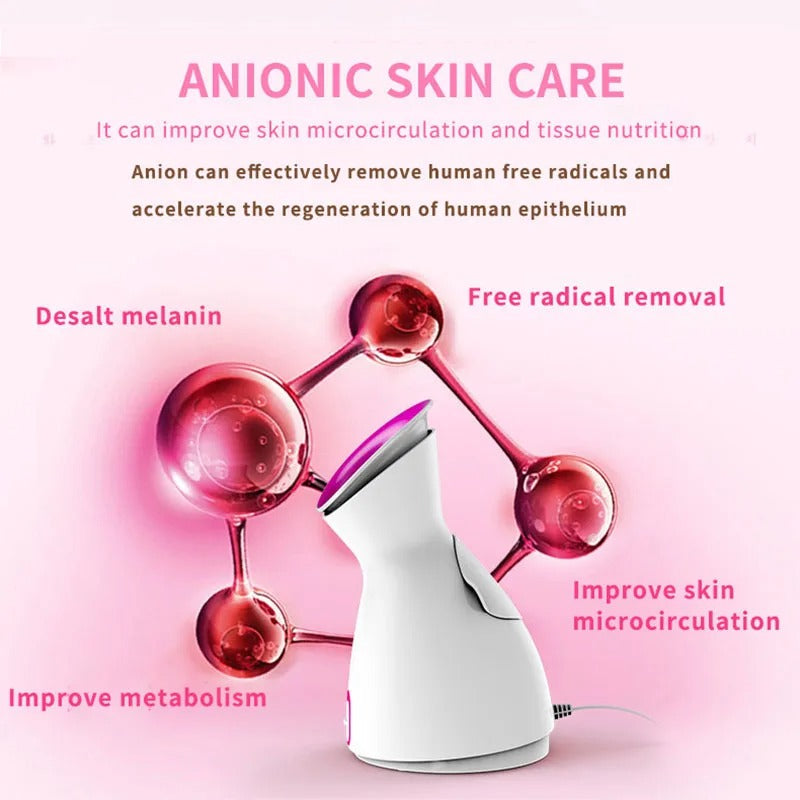 Facial Sauna Home Spa Warm & Cold Mist Moisturizing Face Humidifier Atomizer